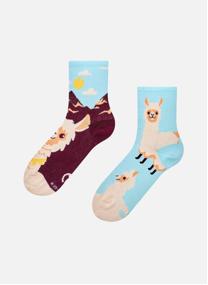 Chaussettes D-U-SC-CS-02-C-C-OKT-2435 homme bleu Dedoles Chaussettes D-U-SC-CS-02-C-C-OKT-2435 homme bleu Turquoise