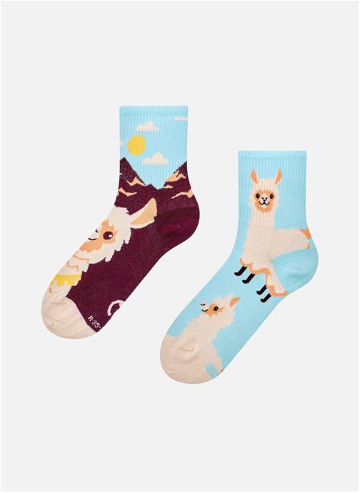 Dedoles Chaussettes D-U-SC-CS-02-C-C-OKT-2435 homme bleu