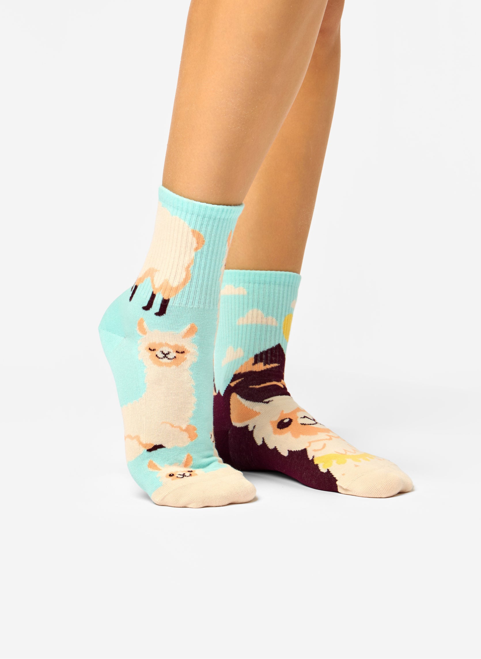 Chaussettes D-U-SC-CS-02-C-C-OKT-2435 homme bleu Dedoles Chaussettes D-U-SC-CS-02-C-C-OKT-2435 homme bleu Turquoise