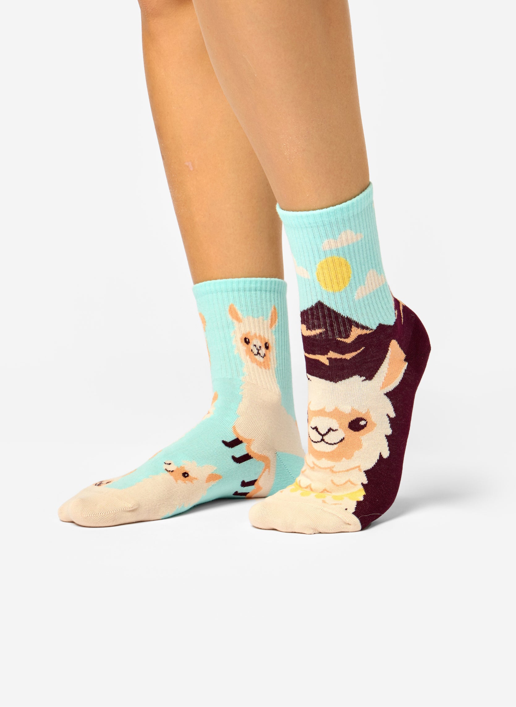 Chaussettes D-U-SC-CS-02-C-C-OKT-2435 homme bleu Dedoles Chaussettes D-U-SC-CS-02-C-C-OKT-2435 homme bleu Turquoise