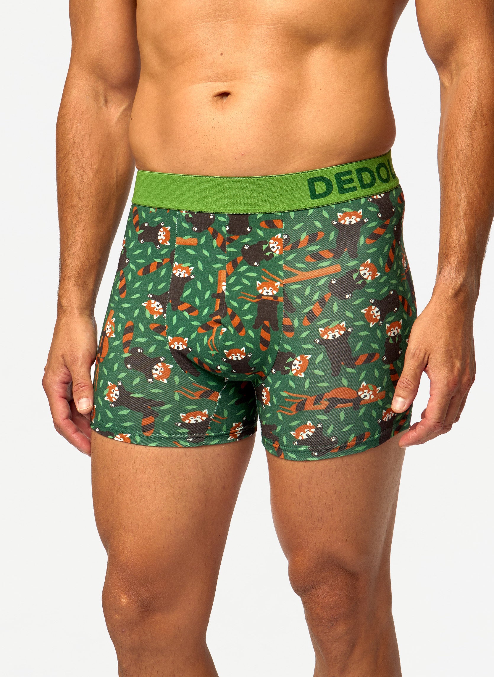 Chaussettes D-M-UN-T-C-C-OKT-1751 homme vert Dedoles Chaussettes D-M-UN-T-C-C-OKT-1751 homme vert Vert