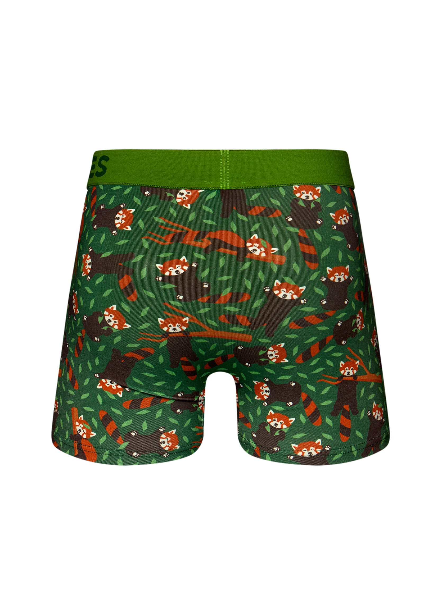 Chaussettes D-M-UN-T-C-C-OKT-1751 homme vert Dedoles Chaussettes D-M-UN-T-C-C-OKT-1751 homme vert Vert