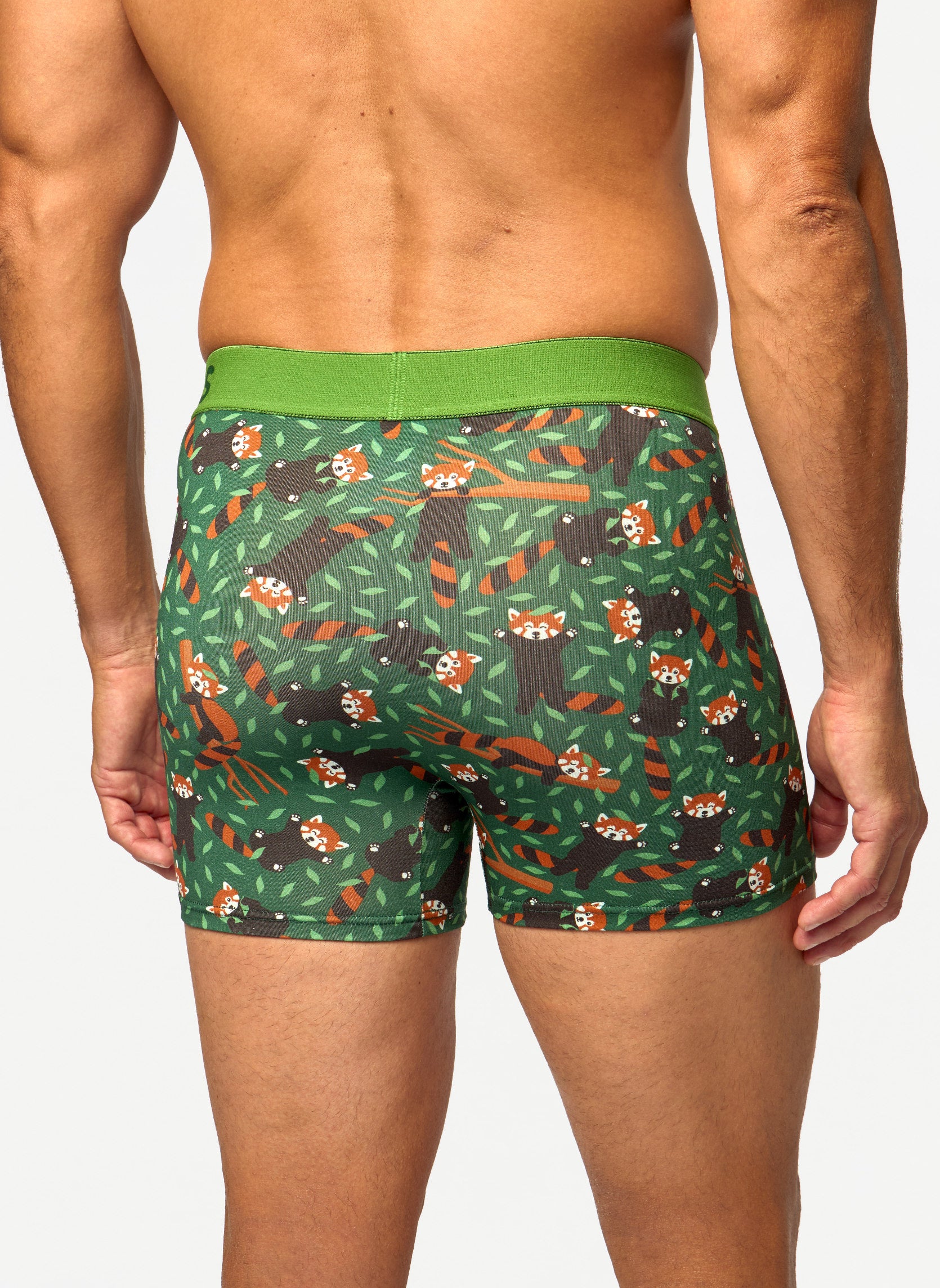 Chaussettes D-M-UN-T-C-C-OKT-1751 homme vert Dedoles Chaussettes D-M-UN-T-C-C-OKT-1751 homme vert Vert