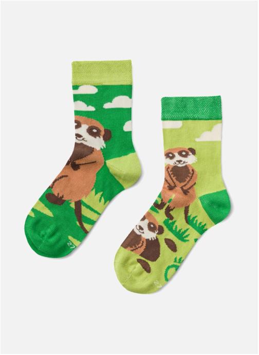 Dedoles Chaussettes D-K-SC-RS-C-C-OKT-1694 garçon vert