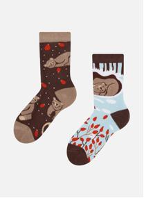 Chaussettes D-K-SC-WS-C-C-OKT-1395 homme multicolore Dedoles Chaussettes D-K-SC-WS-C-C-OKT-1395 homme multicolore Multicouleur