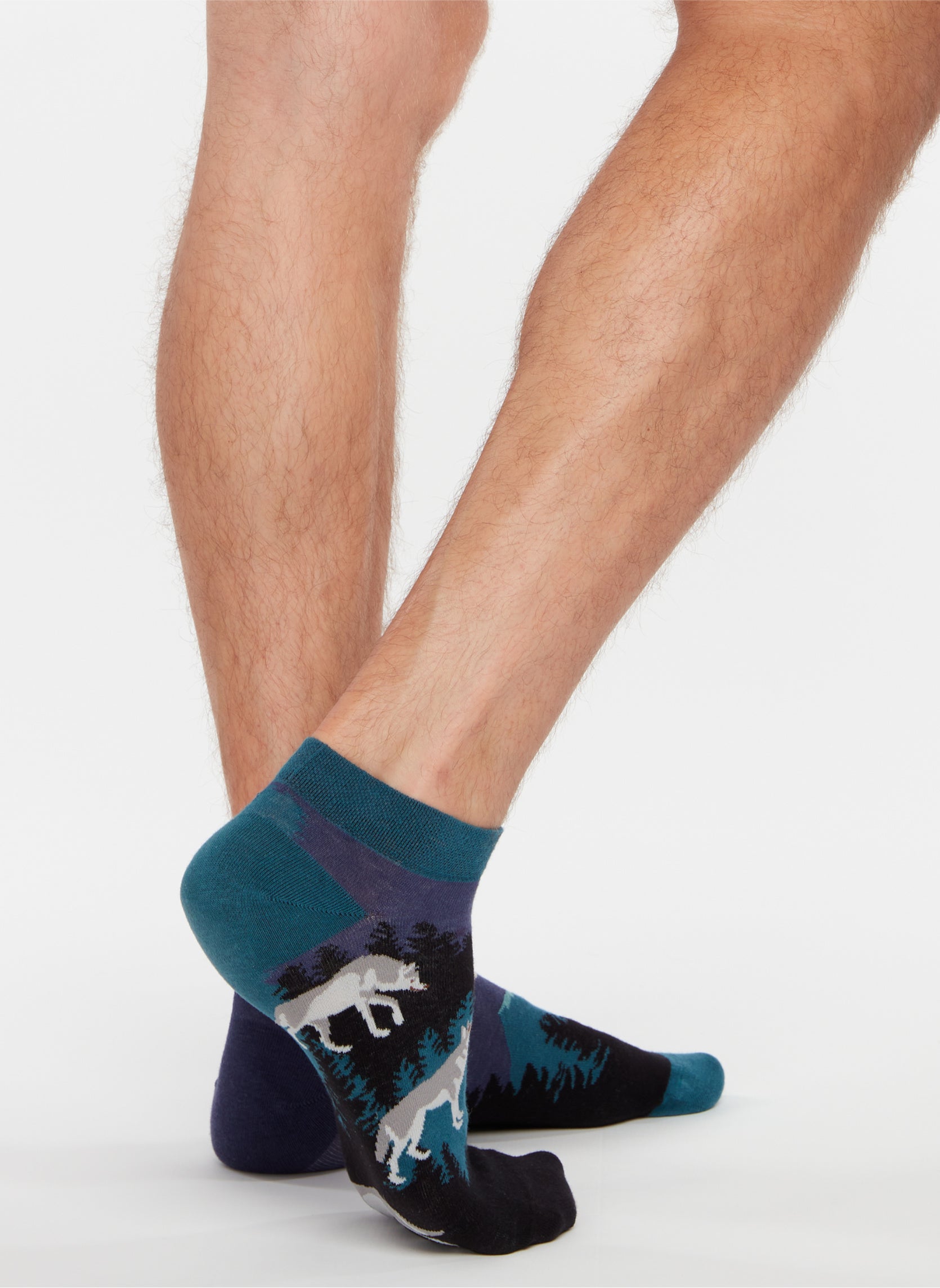 Chaussettes D-U-SC-LS-02-C-C-OKT-210 homme bleu Dedoles Chaussettes D-U-SC-LS-02-C-C-OKT-210 homme bleu Bleu