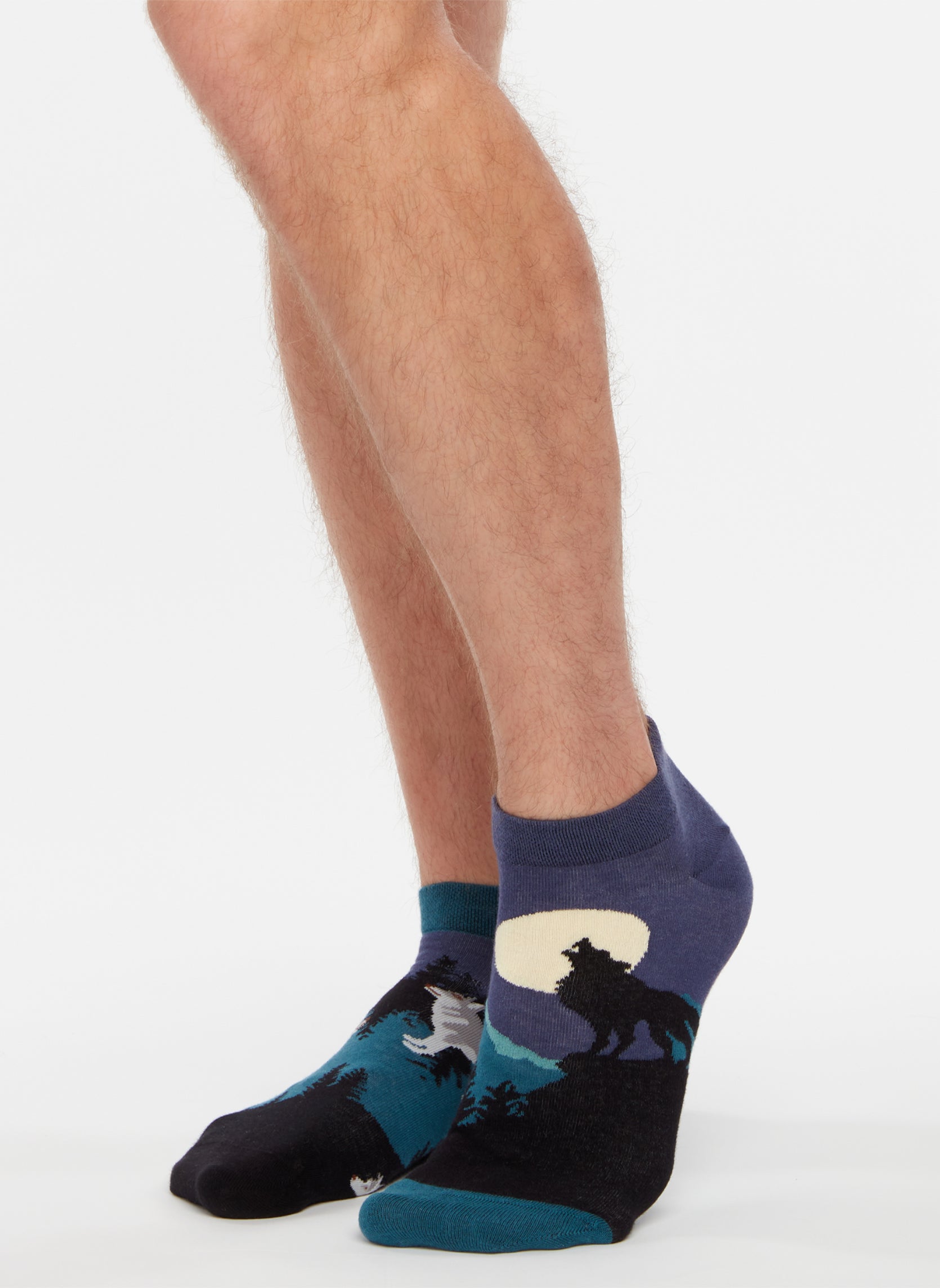 Chaussettes D-U-SC-LS-02-C-C-OKT-210 homme bleu Dedoles Chaussettes D-U-SC-LS-02-C-C-OKT-210 homme bleu Bleu