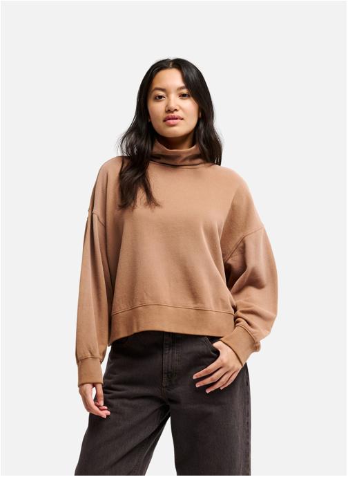 Quiksilver Sweats à capuche Fox River femme marron