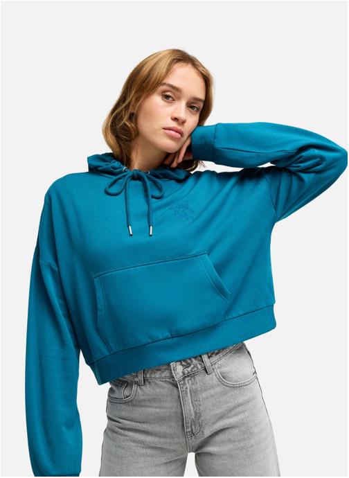 Roxy Sweats à capuche Surfing By Daylight femme bleu