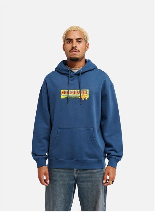 Quiksilver Vestes polaires Specialize homme bleu