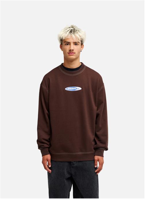 Quiksilver Vestes polaires Disk homme marron