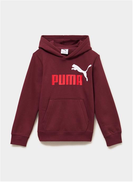 Puma Sweats à capuche PUMA2_ESSLOGO_68582296 garçon bordeaux