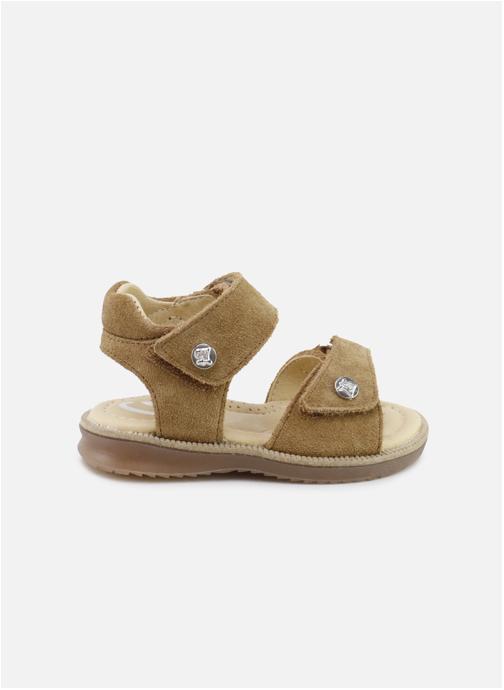 Eli 1957 Sandales 31003AG-VELOUR-CUERO garçon marron