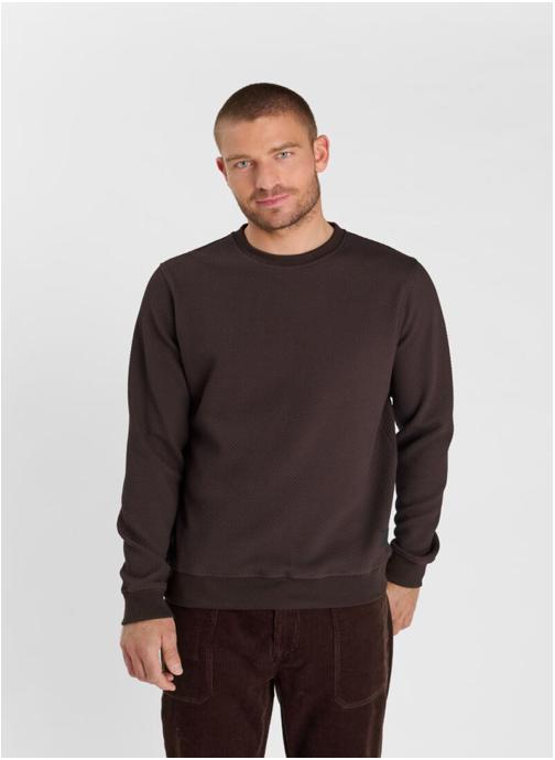 Le temps des cerises Sweats Sweat-Shirt CYRO Brown homme marron