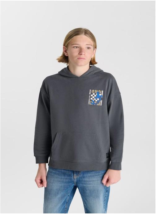 Le temps des cerises Sweats Sweat-Shirt capuche ISTREBO Grey garçon gris