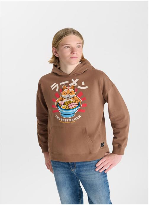 Le temps des cerises Sweats Sweat-Shirt capuche DARABO Brown garçon marron
