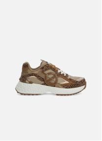 Baskets basses CARTER 2.0 femme marron